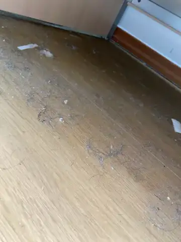 기숙사 대청소는 수영클린 현장 사진