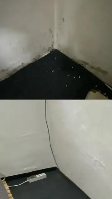 곰팡이제거, 3step 시공으로 재발없이 완벽하게 박멸 현장 사진
