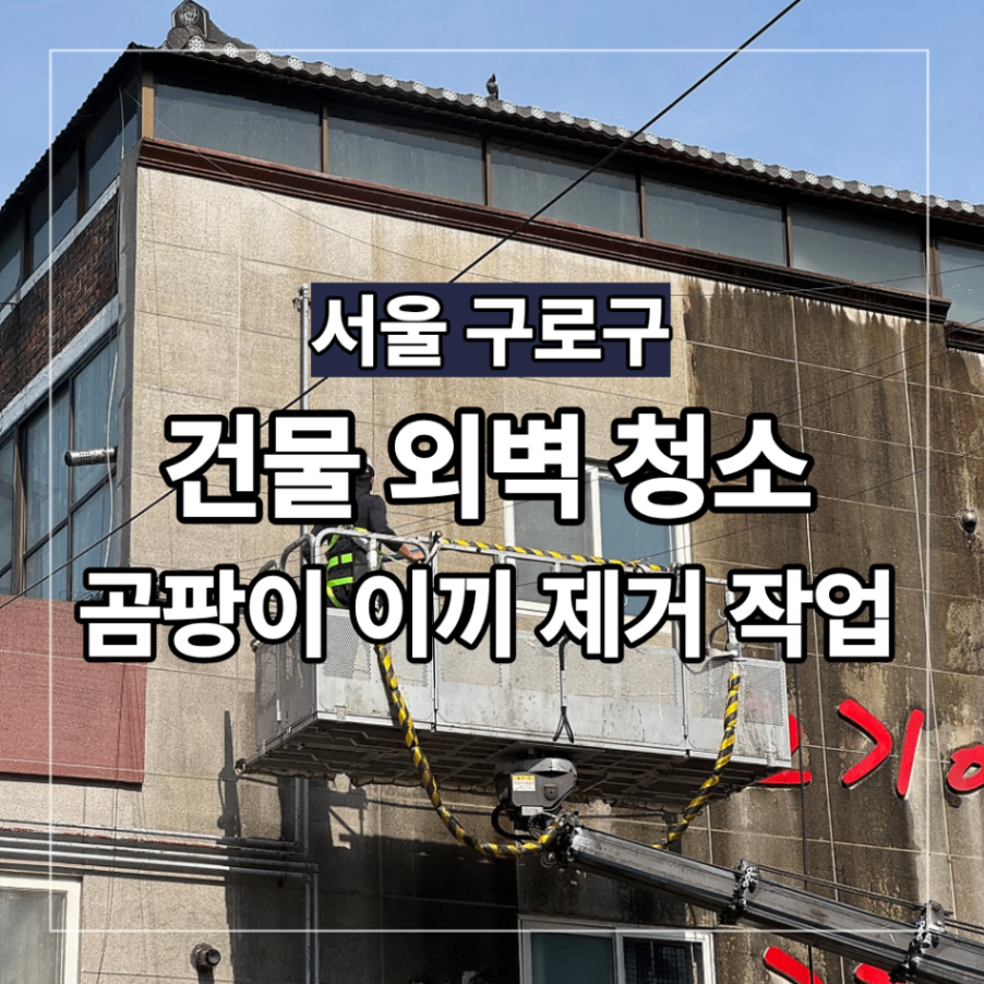 서울 구로구 건물 외벽 청소 곰팡이 이끼 제거